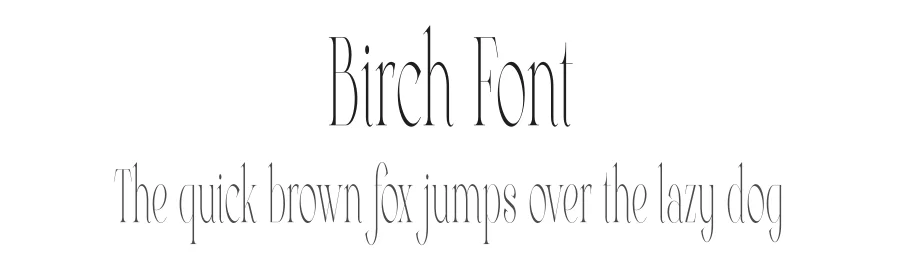 Birch Font by vpcreativeshop — Display Font