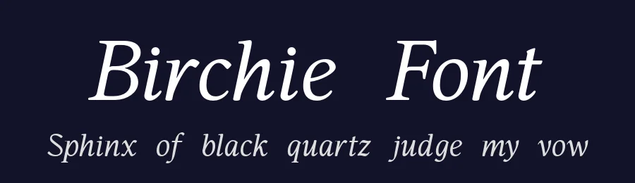 Birchie Font by Surplus Type Co — Serif Font — thumbnail 2