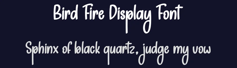Bird Fire Display Font by andikastudio — Display Font — thumbnail 2