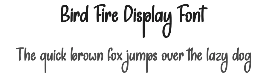 Bird Fire Display Font by andikastudio — Display Font