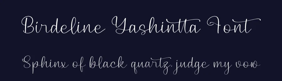 Birdeline Yashintta Font by Storytype — Script Handwritten Font — thumbnail 2