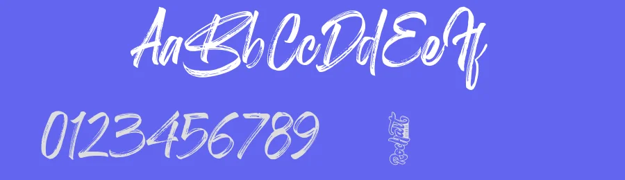 Birdrockers Brush Font by Rochart — Script Handwritten Font — thumbnail 3