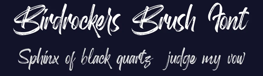 Birdrockers Brush Font by Rochart — Script Handwritten Font — thumbnail 2
