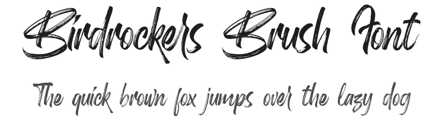 Birdrockers Brush Font by Rochart — Script Handwritten Font