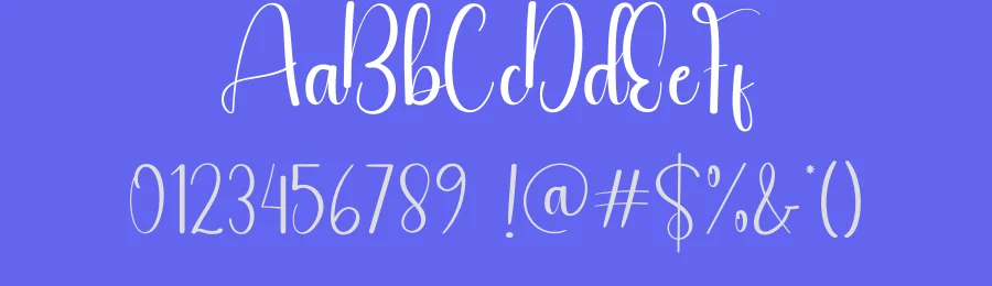 Birds Script Font by andikastudio — Script Handwritten Font — thumbnail 3
