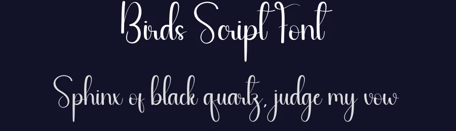 Birds Script Font by andikastudio — Script Handwritten Font — thumbnail 2