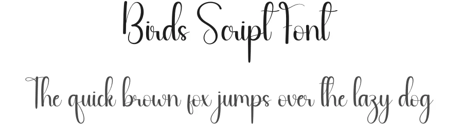 Birds Script Font by andikastudio — Script Handwritten Font