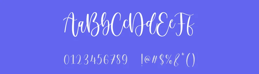 Birdside Lovely Modern Handwritten Font by balpirick — Script Handwritten Font — thumbnail 3