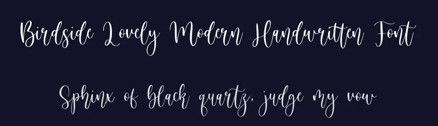 Birdside Lovely Modern Handwritten Font by balpirick — Script Handwritten Font — thumbnail 2
