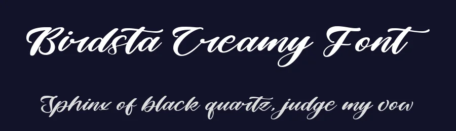 Birdsta Creamy Font by stylishtype.co — Script Handwritten Font — thumbnail 2