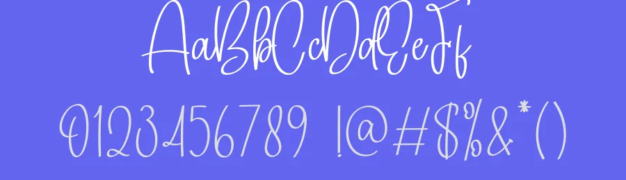 Birmigham Signature Script Font by creativeletter — Script Handwritten Font — thumbnail 3