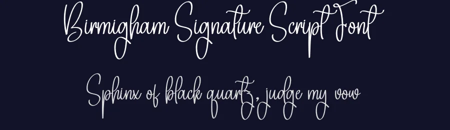 Birmigham Signature Script Font by creativeletter — Script Handwritten Font — thumbnail 2