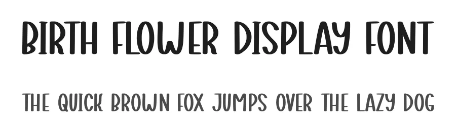 Birth Flower Display Font by Craftedtype — Decorative Font