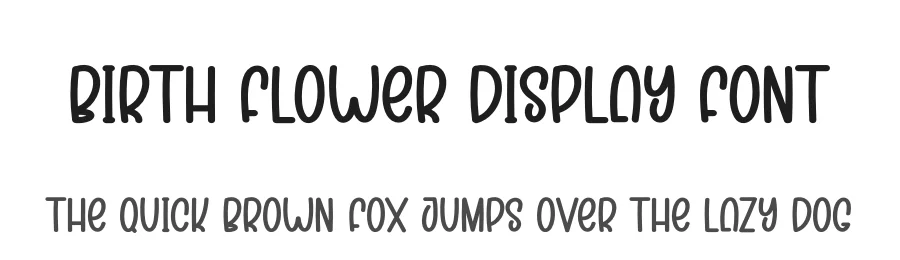 Birth Flower Display Font by creativeletter — Display Font