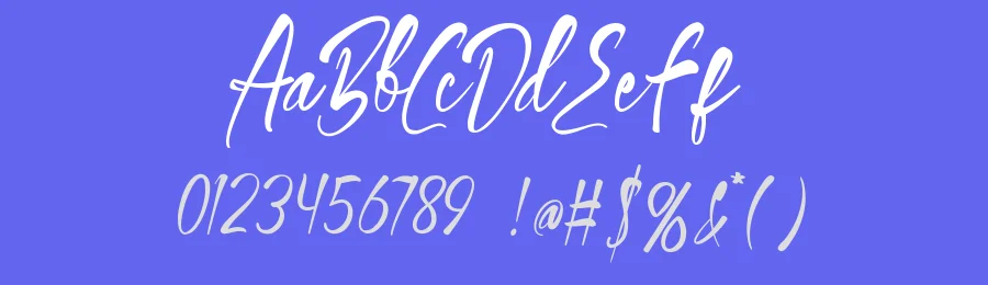 Birthday Bagel Font by noahtype — Display Font — thumbnail 3