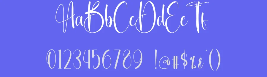 Birthday Calligraphy Font by creativeletter — Script Handwritten Font — thumbnail 3