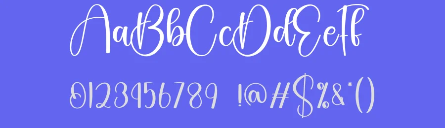 Birthday Calligraphy Font by creativeletter — Script Handwritten Font — thumbnail 3