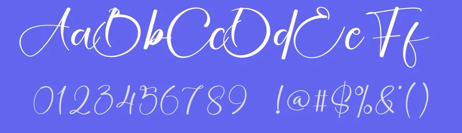 Birthday Calligraphy Script Font by creativeletter — Script Handwritten Font — thumbnail 3