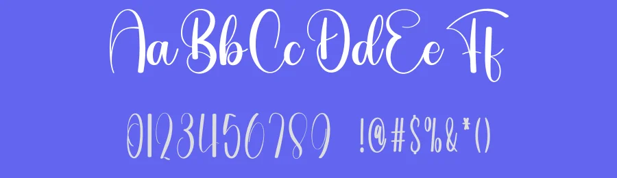 Birthday Classic Calligraphy Font by freshtypeink — Script Handwritten Font — thumbnail 3