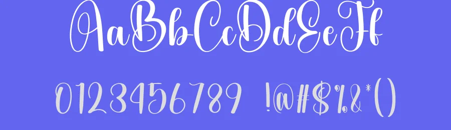 Birthday – Elegant Handwritten Font by creativeletter — Script Handwritten Font — thumbnail 3
