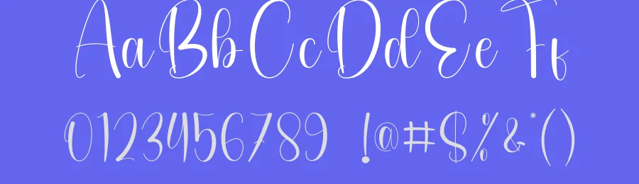 Birthday – Elegant Handwritten Font by andikastudio — Script Handwritten Font — thumbnail 3