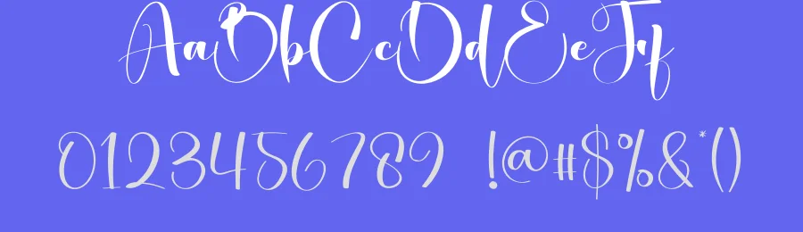 Birthday – Elegant Script Handwritten Font by creativeletter — Script Handwritten Font — thumbnail 3