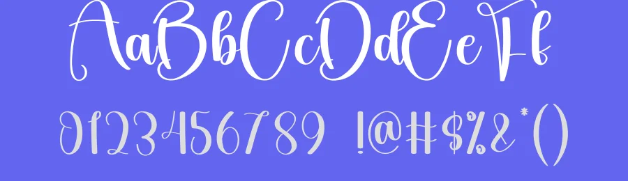 Birthday – Luxury Handwritten Script Font by creativeletter — Script Handwritten Font — thumbnail 3