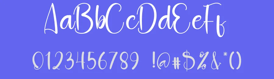 Birthday Party – New Script Handwritten Font by andikastudio — Script Handwritten Font — thumbnail 3