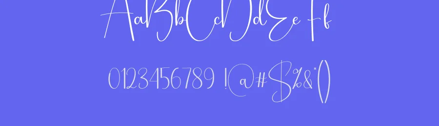 Birthday Signature Script Font by creativeletter — Script Handwritten Font — thumbnail 3