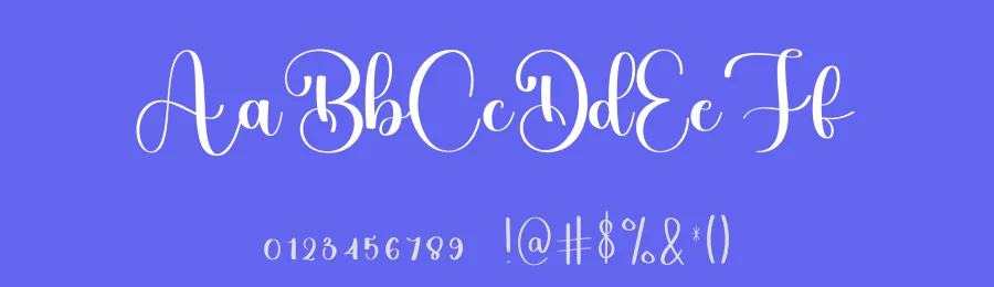 Birthday Vacation – New Style And Unique Font by freshtypeink — Script Handwritten Font — thumbnail 3