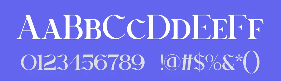Birveli || Modern Classy Serif Font by ErmediaStudio — Display Font — thumbnail 3