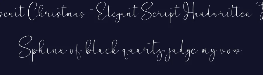 Biscuit Christmas – Elegant Script Handwritten Font by creativeletter — Script Handwritten Font — thumbnail 2