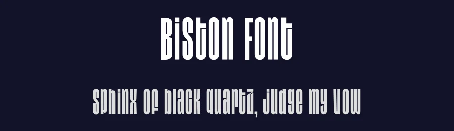 Biston Font by Pinisiart — Sans Serif Font — thumbnail 2