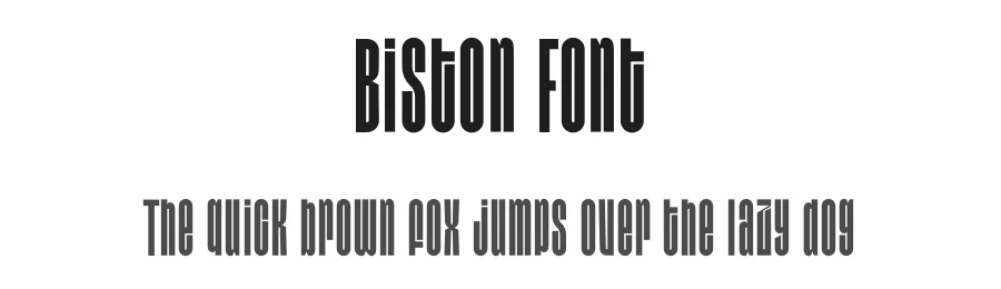 Biston Font by Pinisiart — Sans Serif Font