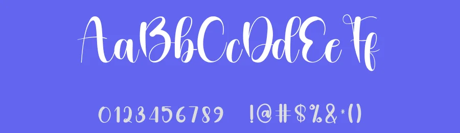 Bitch Script Font by inermediaSTUDIO — Script Handwritten Font — thumbnail 3