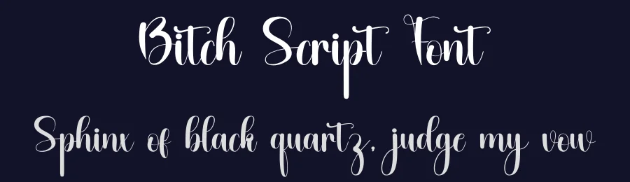 Bitch Script Font by inermediaSTUDIO — Script Handwritten Font — thumbnail 2