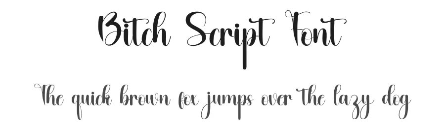 Bitch Script Font by inermediaSTUDIO — Script Handwritten Font