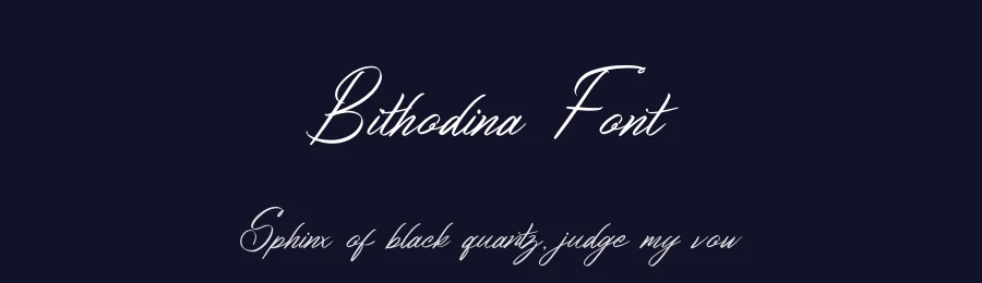 Bithodina Font by letterenastudios — Script Handwritten Font — thumbnail 2