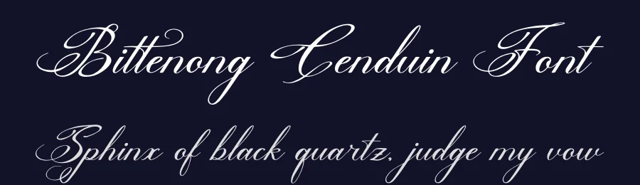 Bittenong Cenduin Font by Denustudios — Script Handwritten Font — thumbnail 2