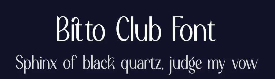 Bitto Club Font by Denustudios — Serif Font — thumbnail 2