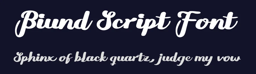 Biund Script Font by twinletter — Script Handwritten Font — thumbnail 2