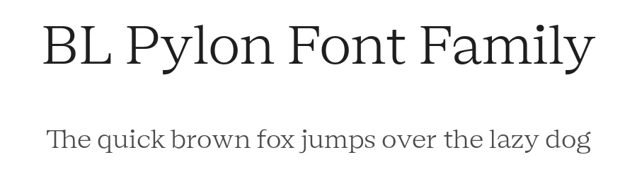 BL Pylon Font Family by Boulevard LAB — Serif Font