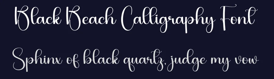 Black Beach Calligraphy Font by creativeletter — Script Handwritten Font — thumbnail 2