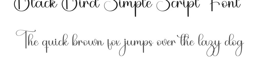 Black Bird Simple Script Font by freshtypeink — Script Handwritten Font