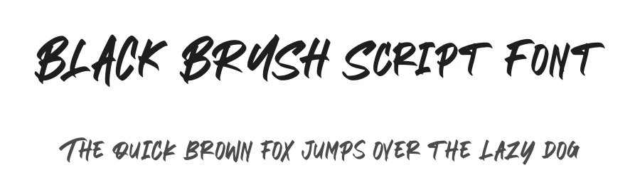 BLACK BRUSH Script Font by letterenastudios — Script Handwritten Font