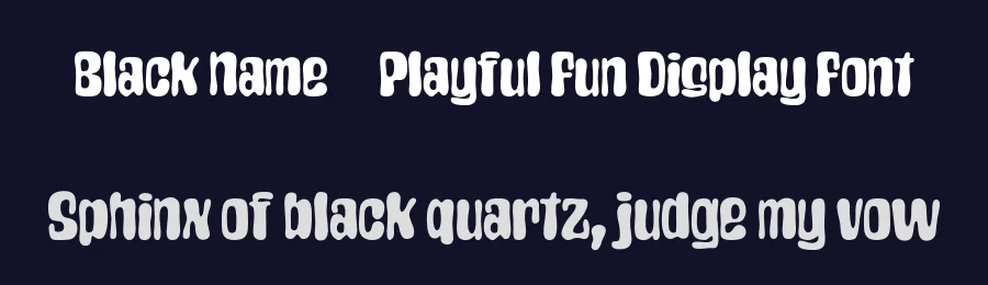 Black Name – Playful Fun Display Font by afkaristudio — Display Font — thumbnail 2