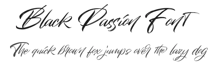 Black Passion Font by Type Factory โ Script Handwritten Font