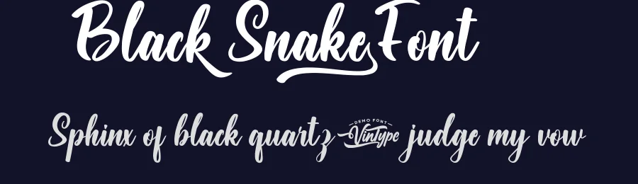Black Snake Font by VinType — Script Handwritten Font — thumbnail 2
