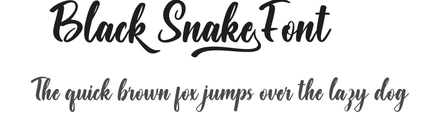 Black Snake Font by VinType — Script Handwritten Font