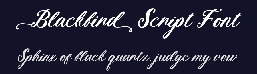 Blackbird Script Font by Fikryal Studio — Script Handwritten Font — thumbnail 2